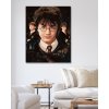 Malowanie po numerach - HARRY POTTER, HERMIONA I RON