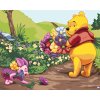Malowanie po numerach - KUBUŚ PUCHATEK Z KWIATAMI