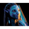 Malowanie po numerach - NEYTIRI SPOGLĄDA W ŚWIATŁO (Avatar)
