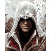 Malowanie po numerach - ASSASSIN (Wariant płótno bez ramy, Rozmiar 40x50 cm)