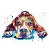 Malowanie po numerach - BEAGLE W KOLORZE