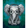 Malowanie po numerach - SŁOŃ Z OKULARAMI I SŁUCHAWKAMI