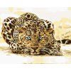Haft diamentowy - Czający się leopard (Wariant płótno bez ramy, Rozmiar 40x50 cm)