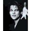 Haft diamentowy - Leonardo DiCaprio (Wariant płótno bez ramy, Rozmiar 40x50 cm)