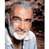Haft diamentowy - Sean Connery (Wariant płótno bez ramy, Rozmiar 40x50 cm)