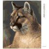 Haft diamentowy - Puma (Wariant płótno bez ramy, Rozmiar 40x50 cm)