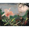 Haft diamentowy - Kolibry i mieczyk (Wariant płótno bez ramy, Rozmiar 40x50 cm)