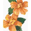 Haft diamentowy - POMARAŃCZOWA KETMIA - HIBISKUS (ALEXANDRIA GILBERT)