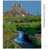 Haft diamentowy - GÓRA I RZEKA WŚRÓD KWIATAÓW (TED DAVIS)