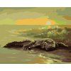 Haft diamentowy - ALIGATOR NAD WODĄ (D. RUSTY RUST) (Wariant płótno bez ramy, Rozmiar 40x50 cm)