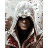 Haft diamentowy - ASSASSIN (Wariant płótno bez ramy, Rozmiar 40x50 cm)