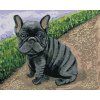 Haft diamentowy - BULDOG FRANCUSKI (Wariant płótno bez ramy, Rozmiar 40x50 cm)