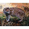 Haft diamentowy - OCELOT W TRAWIE (D. RUSTY RUST) (Wariant płótno bez ramy, Rozmiar 40x50 cm)