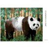 Haft diamentowy - PANDA I BAMBUS (D. RUSTY RUST) (Wariant płótno bez ramy, Rozmiar 40x50 cm)