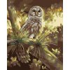 Haft diamentowy - SOWA NA DRZEWIE (D. RUSTY RUST)