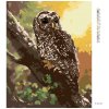 Haft diamentowy - SOWA NA DRZEWIE (D. RUSTY RUST)