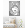 Kropkowanie - HUSKY - PORTRET