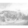 Kropkowanie - OGRÓD W TOSKANII