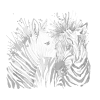 Kropkowanie - Kolorowa zebra