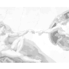 Kropkowanie - STWORZENIE ADAMA (MICHELANGELO)