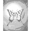 Kropkowanie - Motyl na tle księżyca