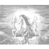 Kropkowanie - KOLOROWE STADO KONI