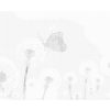 Kropkowanie - BIAŁE DMUCHAWCE I MOTYL