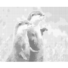 Kropkowanie - DWIE WYDRY