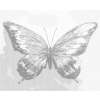 Kropkowanie - PIĘKNY KOLOROWY MOTYL