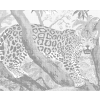 Kropkowanie - JAGUAR NA GAŁĘZI