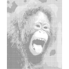 Kropkowanie - ORANGUTAN II