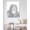 Kropkowanie - MŁODY ORANGUTAN