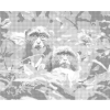 Kropkowanie - DWIE MAŁPY W POŁUDNIOWEJ AFRYCE