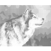Kropkowanie - HUSKY