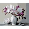 Malowanie po numerach - MAGNOLIE