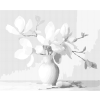 Kropkowanie - MAGNOLIE 2