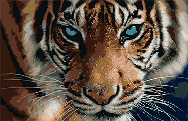 Collin Bogle: Pozrite sa do očí šelmy