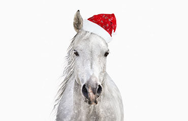 Získajte od nás obraz úplne zadarmo pri nákupe nad 50 €!