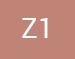 Z1