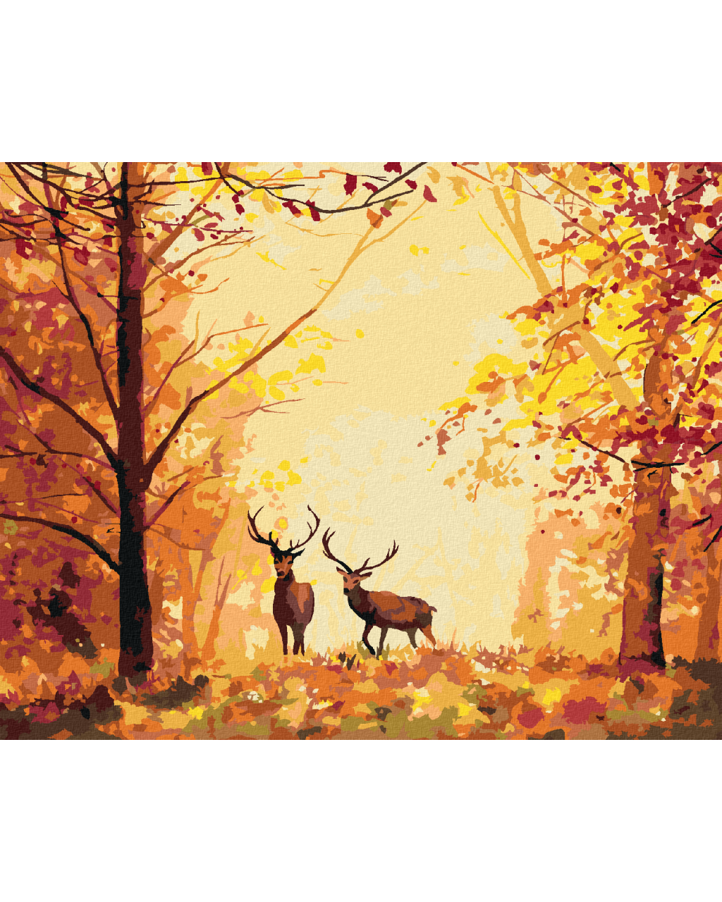 canvas filter