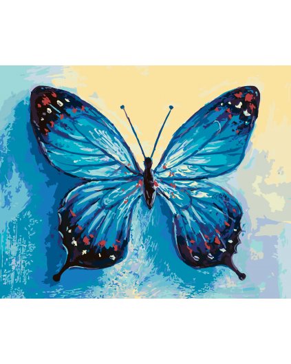 Maľovanie podľa čísel - MODRÝ MOTÝĽ