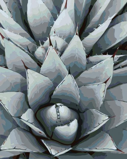 Maľovanie podľa čísel - KAKTUS AGAVE