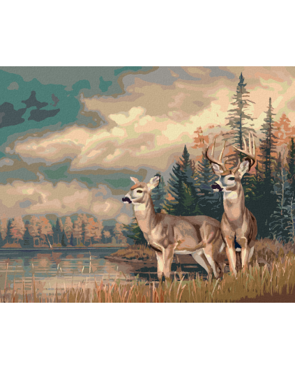 canvas filter result
