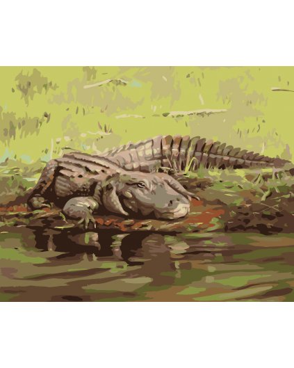 Maľovanie podľa čísel - ALIGÁTOR LEŽIACI PRI VODE II (D. RUSTY RUST)
