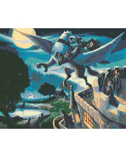 Maľovanie podľa čísel - SIRIUS BLACK NA ÚTEKU (HARRY POTTER)