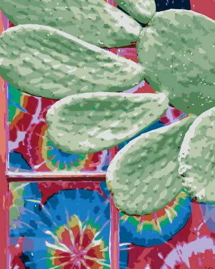 Maľovanie podľa čísel - KAKTUS (DENNIS FRATES)