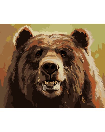 Maľovanie podľa čísel - MEDVEĎ A ÚSMEV (D. RUSTY RUST)