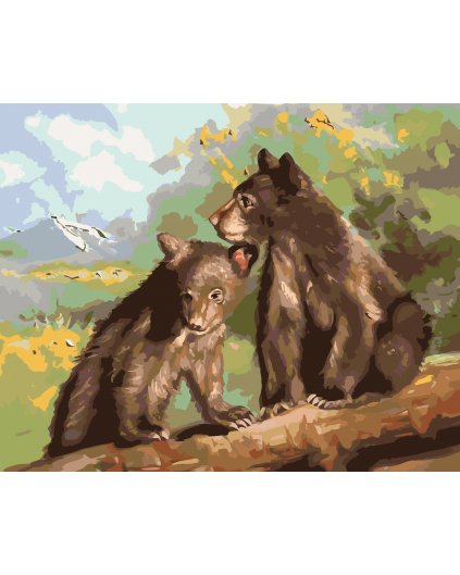 Maľovanie podľa čísel - MEDVIEĎATÁ (D. RUSTY RUST)