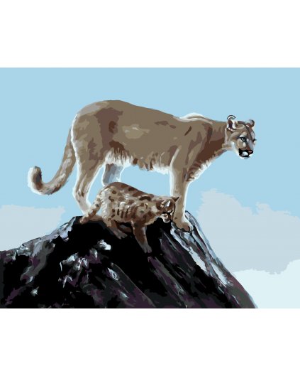 Maľovanie podľa čísel - PUMA S MLÁĎAŤOM (D. RUSTY RUST)