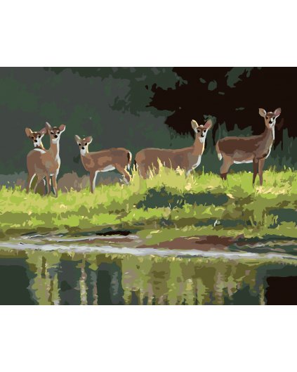 Maľovanie podľa čísel - SRNY PRI JAZERE (D. RUSTY RUST)